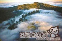 阿凡达是在哪里拍摄的？阿凡达各种生物模型图片