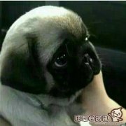 严肃和严厉有什么区别？教育孩子可以严肃但不要严厉