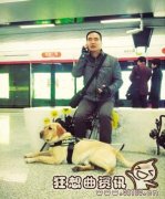 地铁上可以带导盲犬吗？导盲犬工作标准正在制定