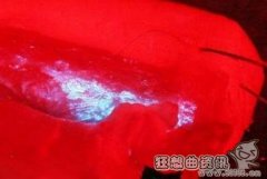 有些猪肉为什么放蓝光？购买猪肉时该如何选择？