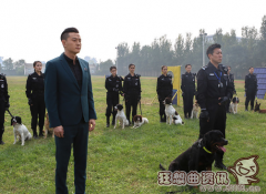 警花与警犬大结局是什么剧情?警花与警犬有第二季吗?