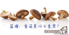 蓝瘦香菇是什么意思?蓝瘦香菇完整版视频