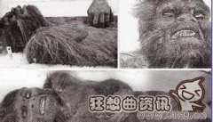 喜马拉雅山上的神秘雪人之谜，雪人真的存在吗?