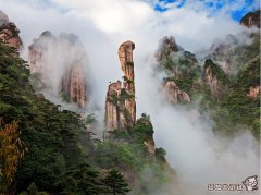 游客在景区受伤谁的责任，盘点历年来景区游客受伤事件