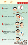 一女子不慎被毒蛇咬伤视频，被毒蛇咬伤后应该怎么处理?