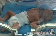女生在厕所产子后淡定上课，女大学生产子事件盘点