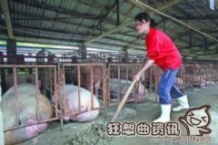 猪圈消毒用什么药最好，清理猪圈的时候应该注意什么问题?
