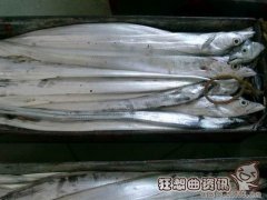 越南带鱼和舟山带鱼有什么区别，怎样挑选带鱼?