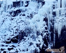 哈尔滨去雪谷的车在哪里坐，雪乡和雪谷有什么区别吗?