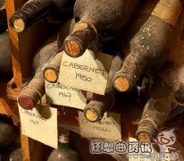 开普敦为什么适合生长葡萄，开普敦的气候有什么特点?