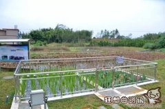 海绵城市是什么意思，海绵城市又是什么优点吗?