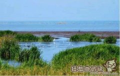博斯腾湖为什么是淡水湖，博斯腾湖是内陆湖吗?