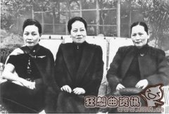 宋氏三姐妹有谁生孩子了，宋氏三姐妹的婚姻状况如何?