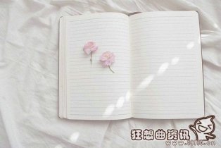 感情升华后是亲情吗?感情为什么会慢慢变淡?