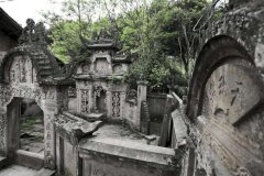 两千年前古墓挖出神龟，古墓挖出沉睡千年巨蟒