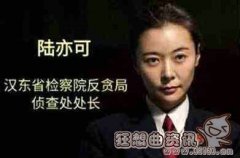 人民的名义陆亦可最后结局是什么?人民的名义陆亦可和侯亮平的关系