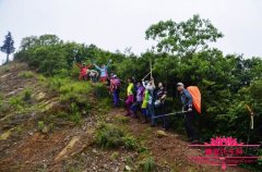 无锡军嶂古道路线图，徒步穿越军嶂古道的注意事项有哪些