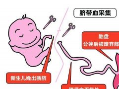 存脐带血保存费用一年多少钱？存脐带血可以治疗什么病