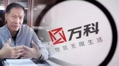万科独立董事华生照片，华生的老婆为作协主席铁凝