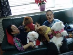 韩美林历任妻子照片简介，韩美林鸡年邮票作品图片