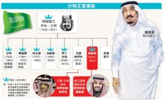 沙特王子和王储啥关系？沙特老国王有多少王子