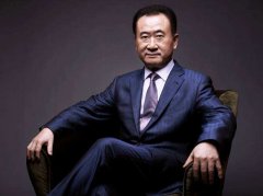 王健林的鼻子面相分析，麦玲玲分析王健林面相