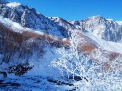 哈尔滨雪乡是一年四季都有雪吗？元旦前后去雪乡合适吗