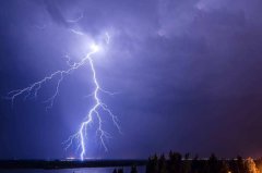 雷击木为什么那么贵，雷击木不能碰水是怎么回事？