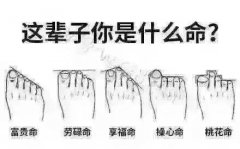 命不好的人出家好吗，传说命不好是不是上辈子造了孽？
