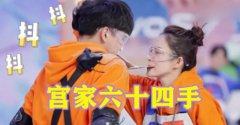 宫家六十四手是真的存在吗，现在失传了没有？