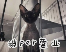 华晨宇张碧晨恋情坐实，还生了孩子都一岁了？