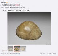 嘎巴拉为什么有的黑有的黄？嘎巴拉为什么不能随便戴