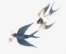 传说为什么人不能养燕子，摸了燕子会倒霉是迷信吗？