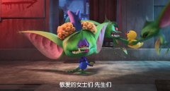 空姐一般是什么学校毕业的？空姐可以当到多少岁