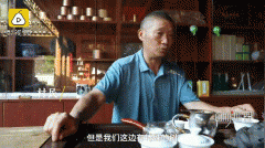 最有效的驱蚊树木有哪些？竹柏树、樟树可驱蚊