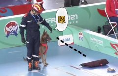 搜救犬二驴是什么品种，搜救犬是警犬的一种吗？