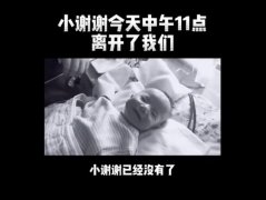 小谢谢什么病？小谢谢为什么来河南做手术