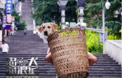 搜救犬叮当真实故事，搜救犬为什么能闻出人体气味找人？