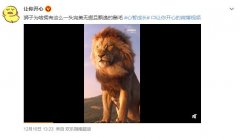 雄狮剃去鬃毛对比图，雄狮鬃毛能保护脖子吗？作用是什么
