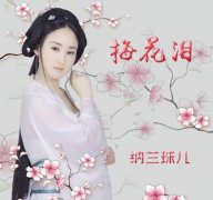 梅花泪这首歌表达了什么意思，歌曲原唱是谁？