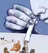 女生吸猫上瘾照片，吸猫上瘾的科学解释是什么？