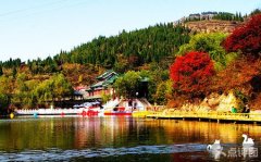 山东旅游景点大全排名，山东旅游攻略
